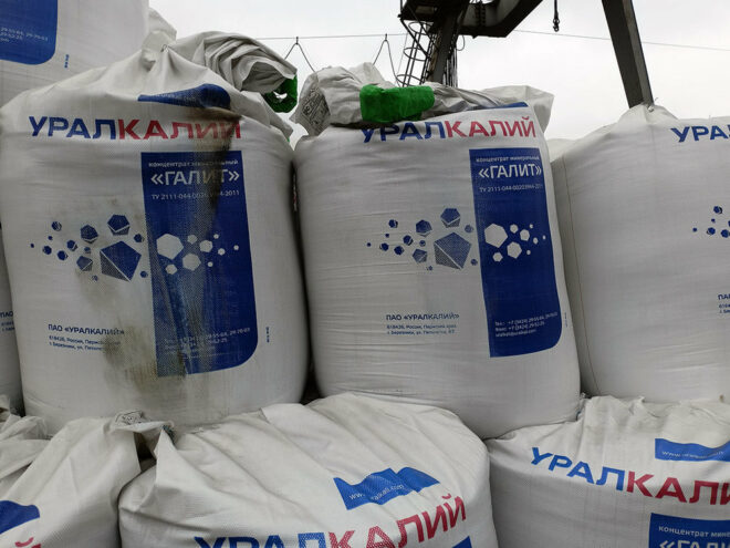 Мировой рынок технической соли: тенденции, основные производители и прогнозы развития