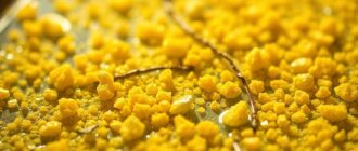 Применение CO₂ в технологиях очистки фильтров тонкой очистки от смолистых отложений