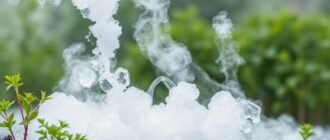 Углекислота в процессах регулирования скорости сульфирования органических соединений: роль, механизмы, практические приемы